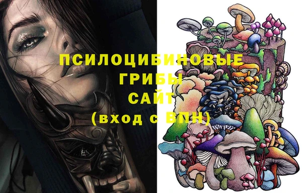 прущие крисы Михайловск